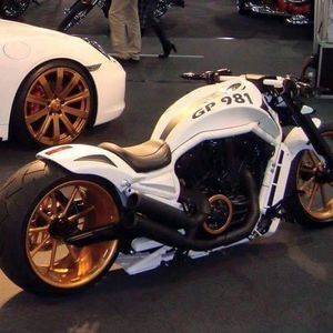 Meet your Posher, Sammy